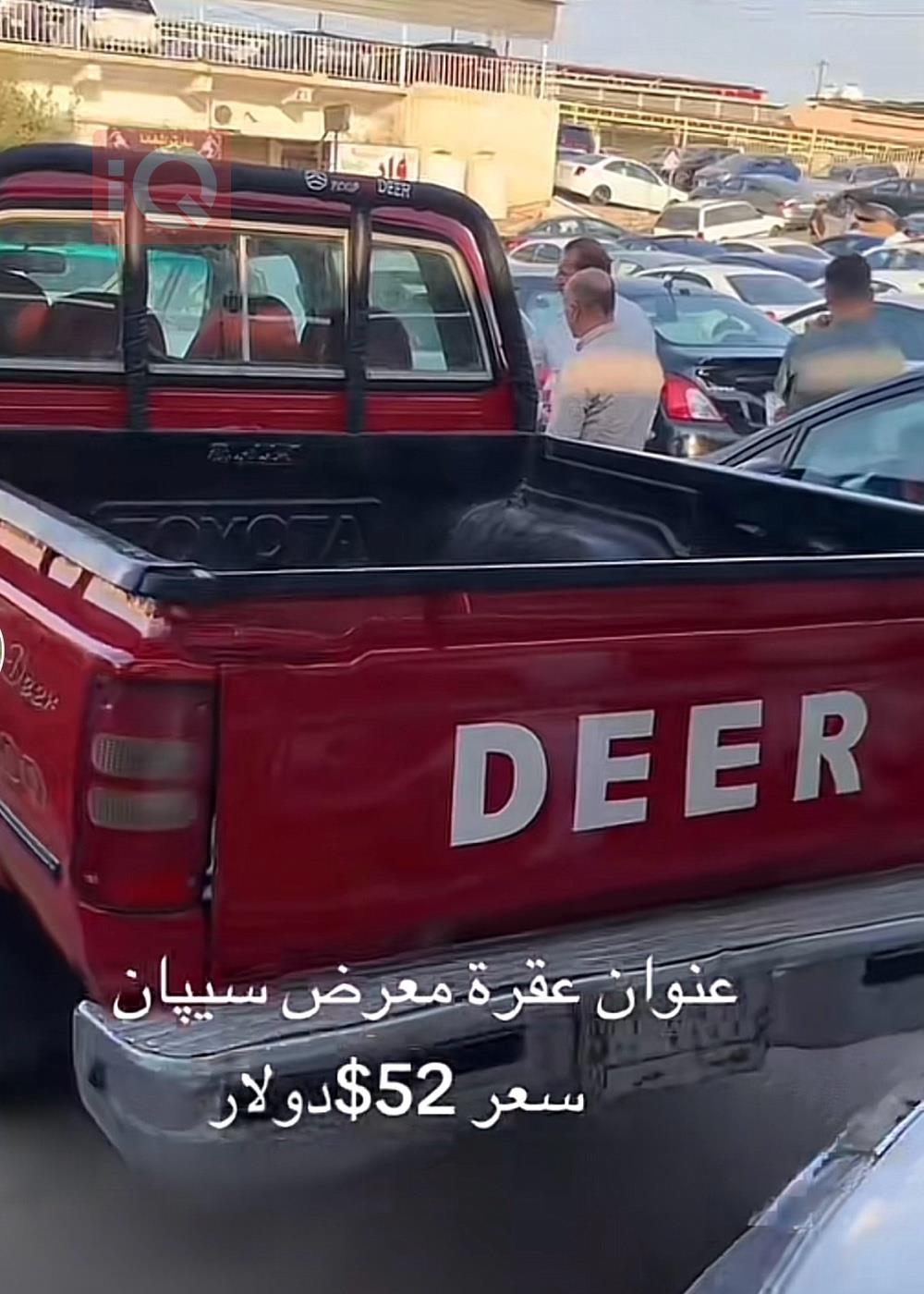 جريت وول دير